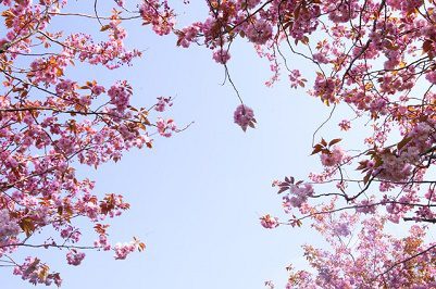 Easter - Spring and new beginnings