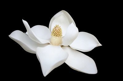 How Long Do You Have To Hang On – Forgive Your Mistakes
