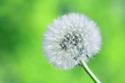 The Discipline of Deciding Means Declaring Only Abundance!