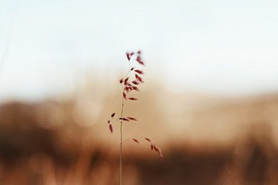 Autumn Equinox