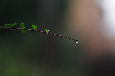 Can You Let Go