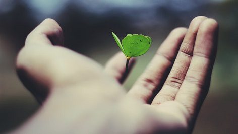 Opportunity for Spiritual Growth – Everything Grist for the Mill