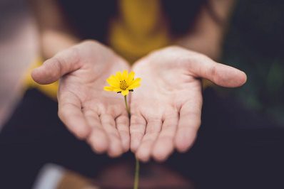 The Argument for Wholeness – Spiritual Mind Treatment