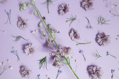 The Fertile Abundance of the Divine Feminine
