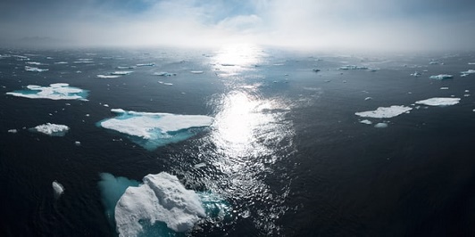 Ignoring the Alarm of Climate Change
