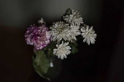 Random Acts of Kindness