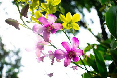 Tending Your Garden