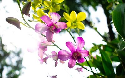 Tending Your Garden