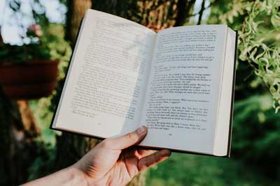 a person reading the bible