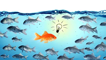 Creating Success – Creando Éxito
