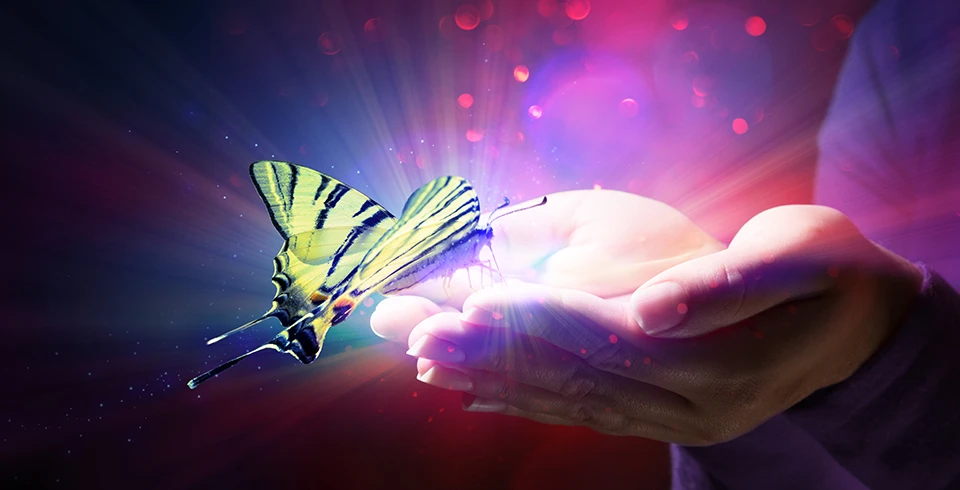 “Let Go of Angels to let Archangels In.”