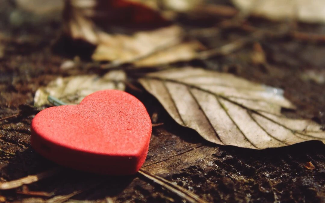 Attitude of Gratitude