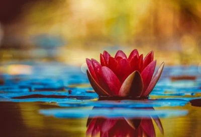 Wake Up to The Blessing of Life!
