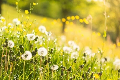 Spring Equinox