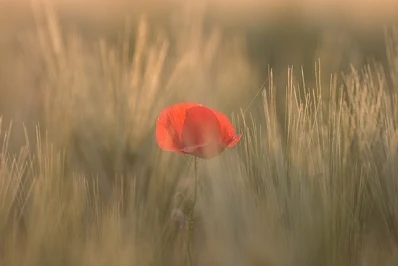 Stopping to Remember It’s Cumulative – Meditation as Spiritual Practice