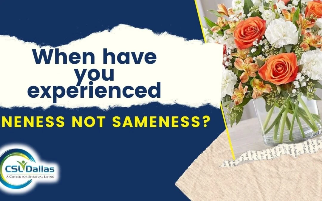 When have you experienced Oneness not Sameness?