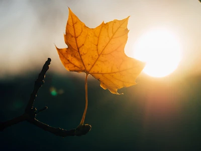 Embrace Change
