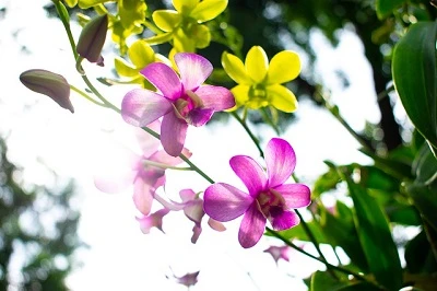 Tending Your Garden