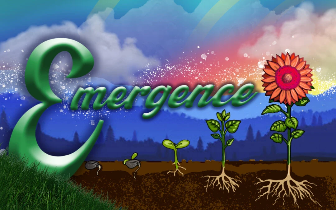 Emergence