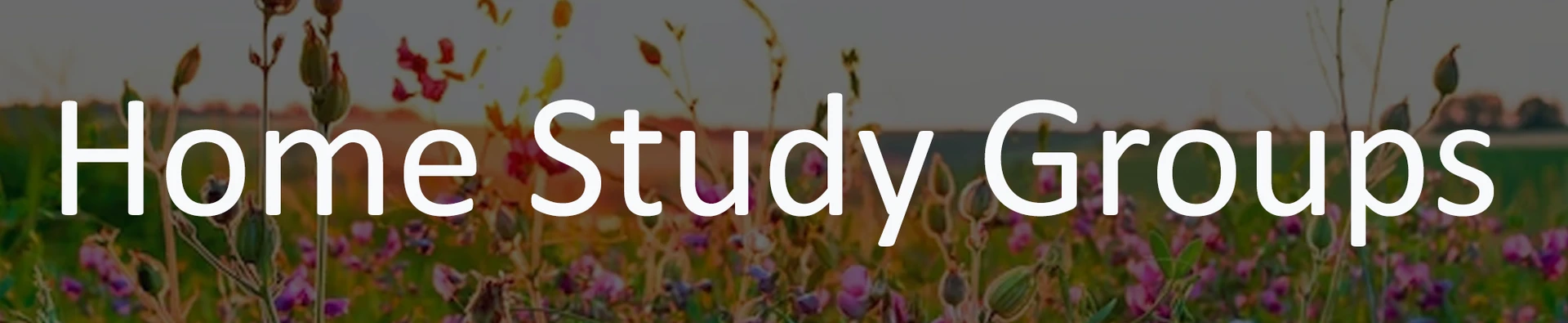 Home Study Group